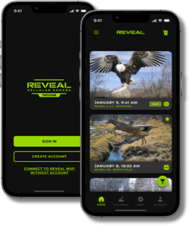 REVEAL_Mobile-App-Mockups